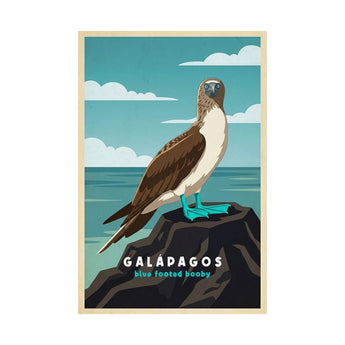 Galapagos Blue Footed Booby Travel Wall Art - Vacation Art Boutique
