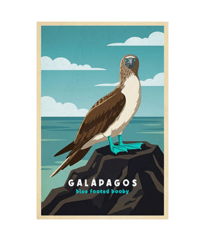 Galapagos Blue Footed Booby Travel Wall Art - Vacation Art Boutique