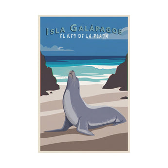 Galapagos Sea Lion Travel Wall Art - Vacation Art Boutique