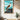Galapagos Blue Footed Booby Travel Wall Art - Vacation Art Boutique