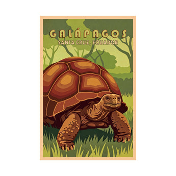 Galapagos Giant Tortoise Travel Wall Art - Vacation Art Boutique