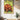 Galapagos Giant Tortoise Travel Wall Art - Vacation Art Boutique